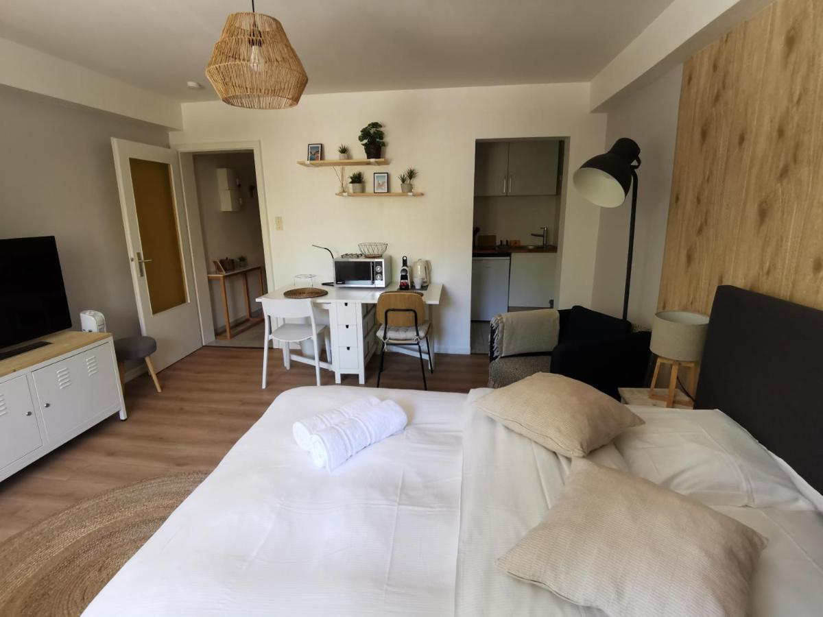 Marnesia - Studio Avec Vue Sur Les Quais Strasbourg Exterior photo